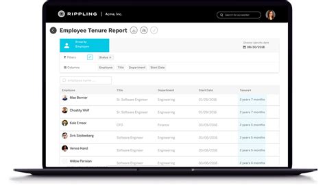 cparoll review|rippling payroll reviews.